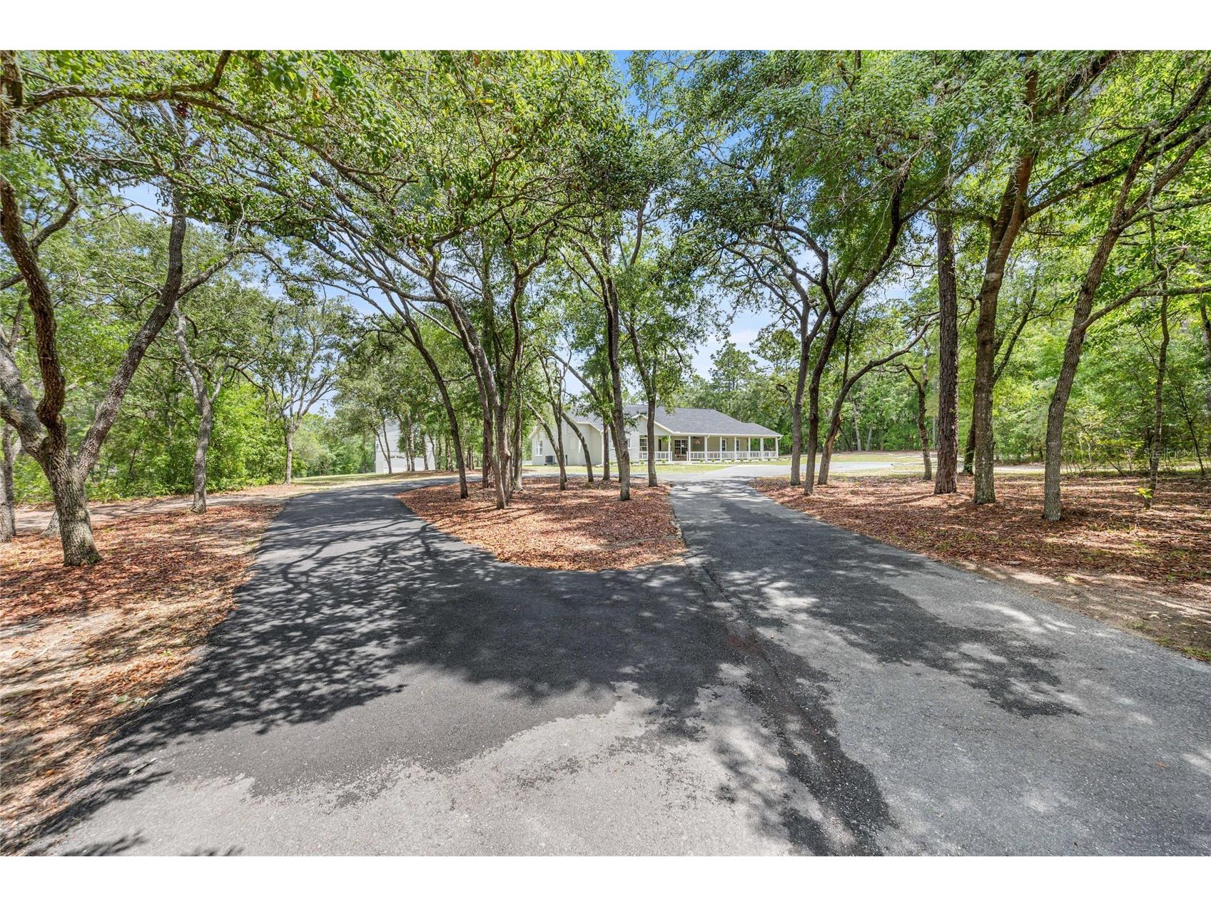 2301 E Mary Lue Street Inverness FL 34453 TB8513735 image31