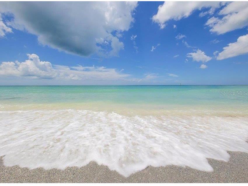 2301 Gulf Of Mexico Drive #44N Longboat Key FL 34228 - GULF OF AMERICA A4699335 image36