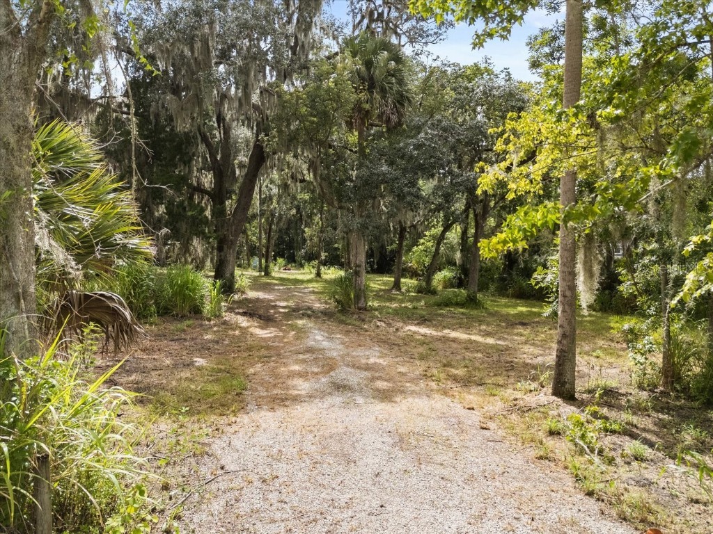 2301 Jeslan Court Oviedo FL 32765 O6324289 image6