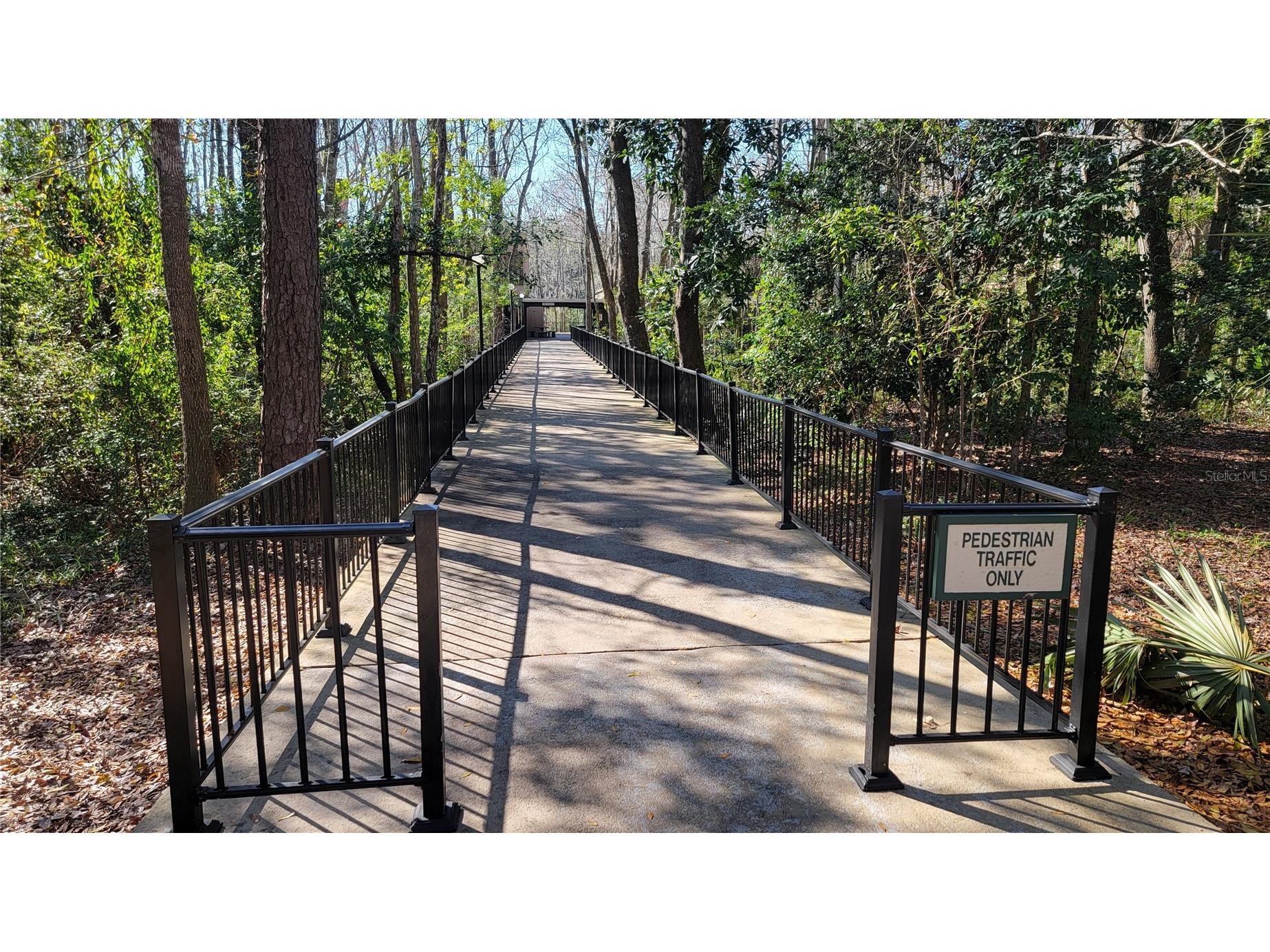 2301 Park Avenue #300 Orange Park FL 32073 GC520163 image2