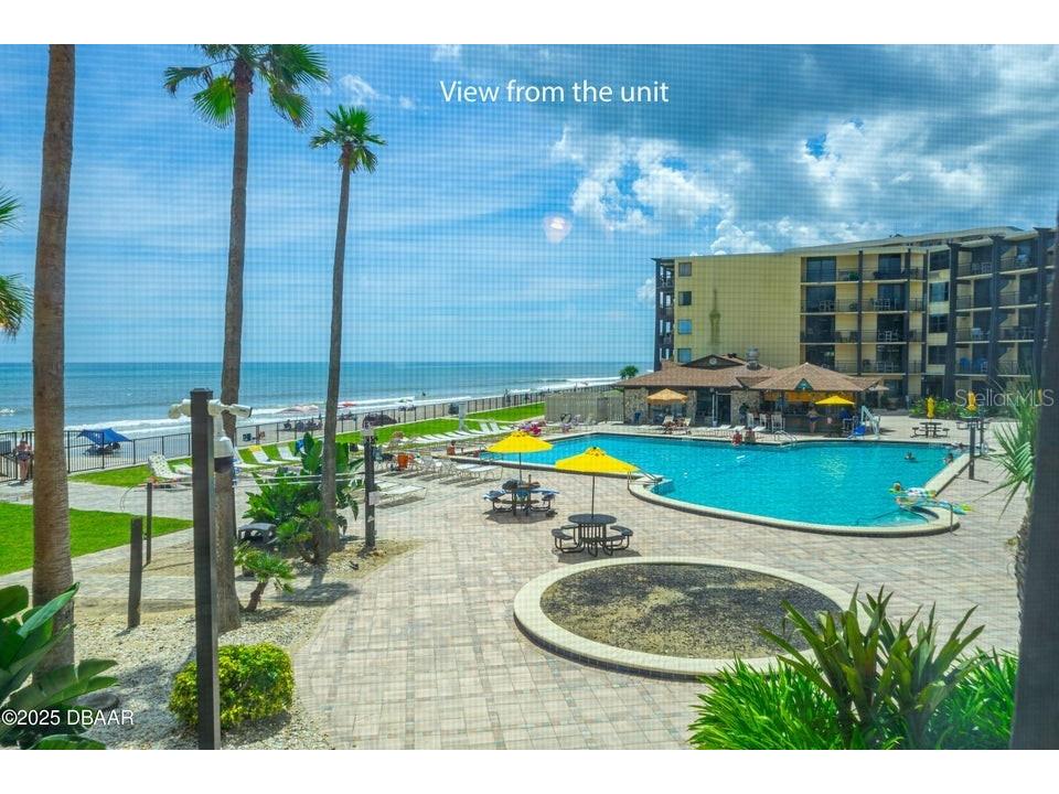 2301 S Atlantic Avenue #201 Daytona Beach FL 32118 FC315924 image7
