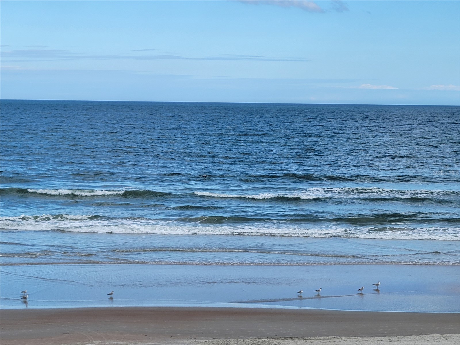 2301 S Atlantic Avenue #238 Daytona Beach FL 32118 O6373264 image5