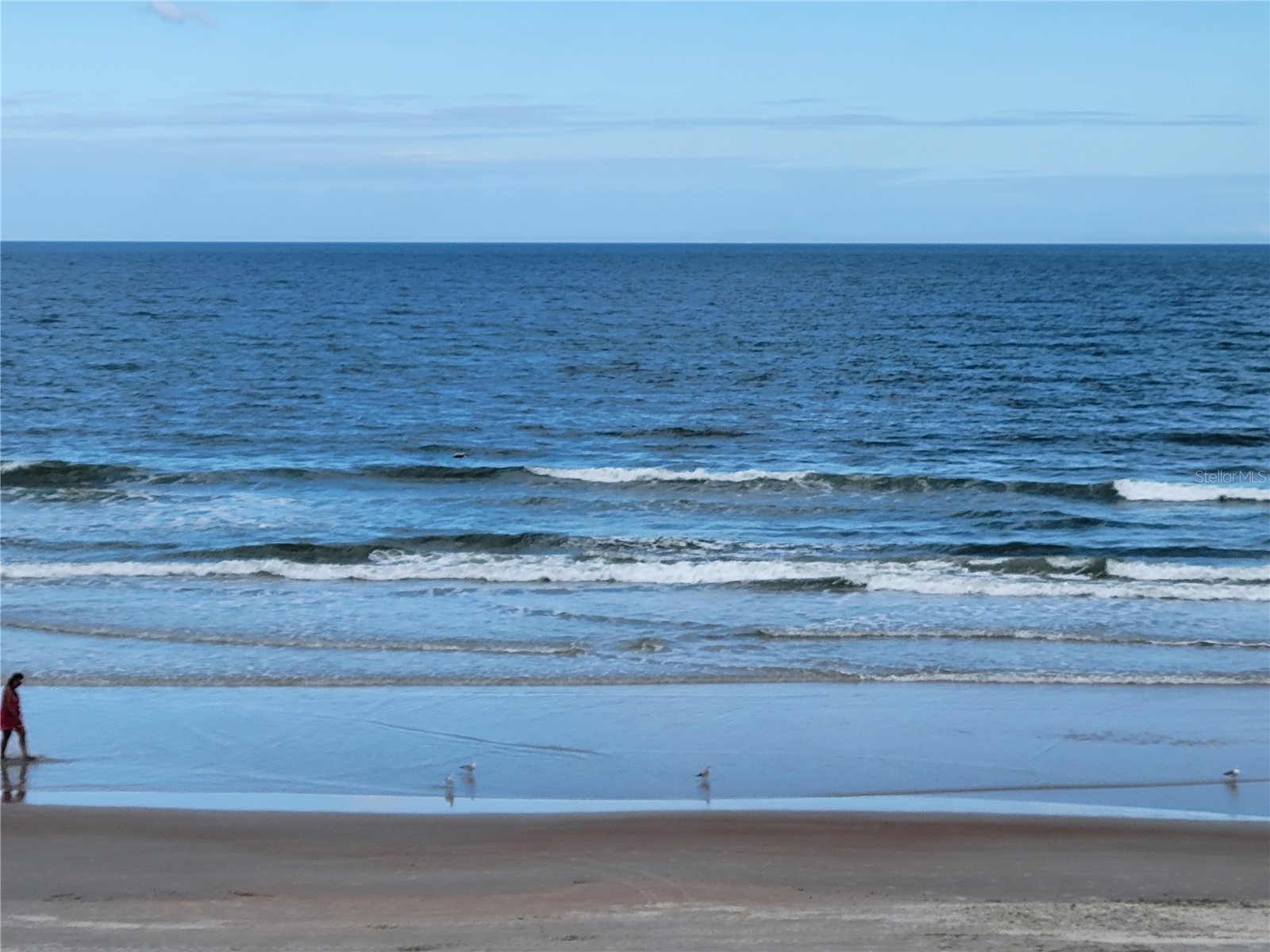 2301 S Atlantic Avenue #238 Daytona Beach FL 32118 O6373264 image6