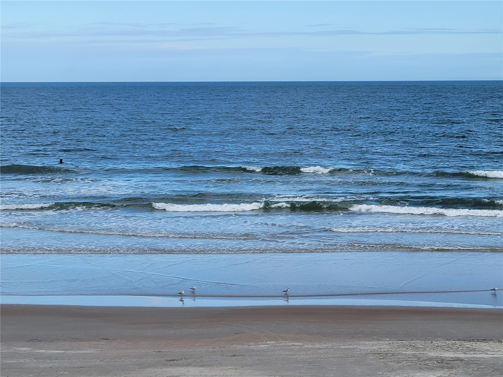 2301 S Atlantic Avenue #238 Daytona Beach FL 32118 O6373264 image8