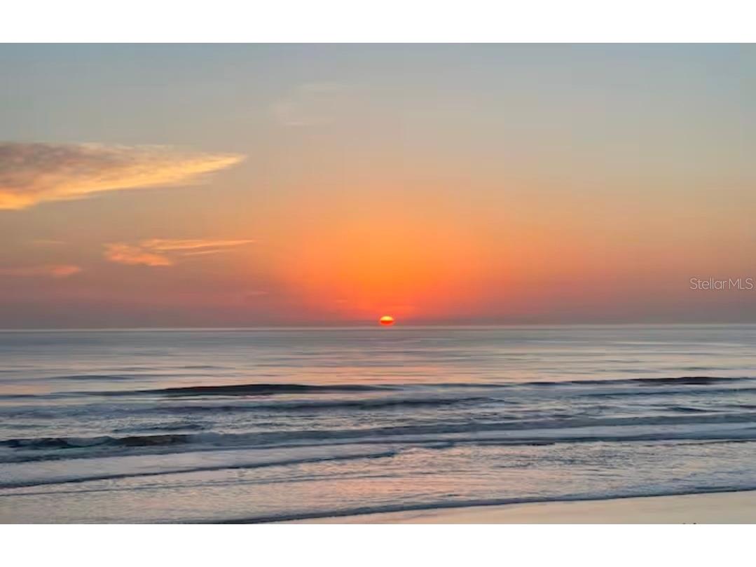 2301 S Atlantic Avenue #337 Daytona Beach FL 32118 O6413224 image8