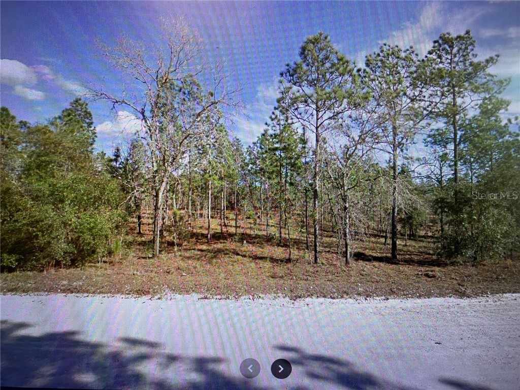 2301 SE 150th Avenue Morriston FL 32668 O6158031 image1