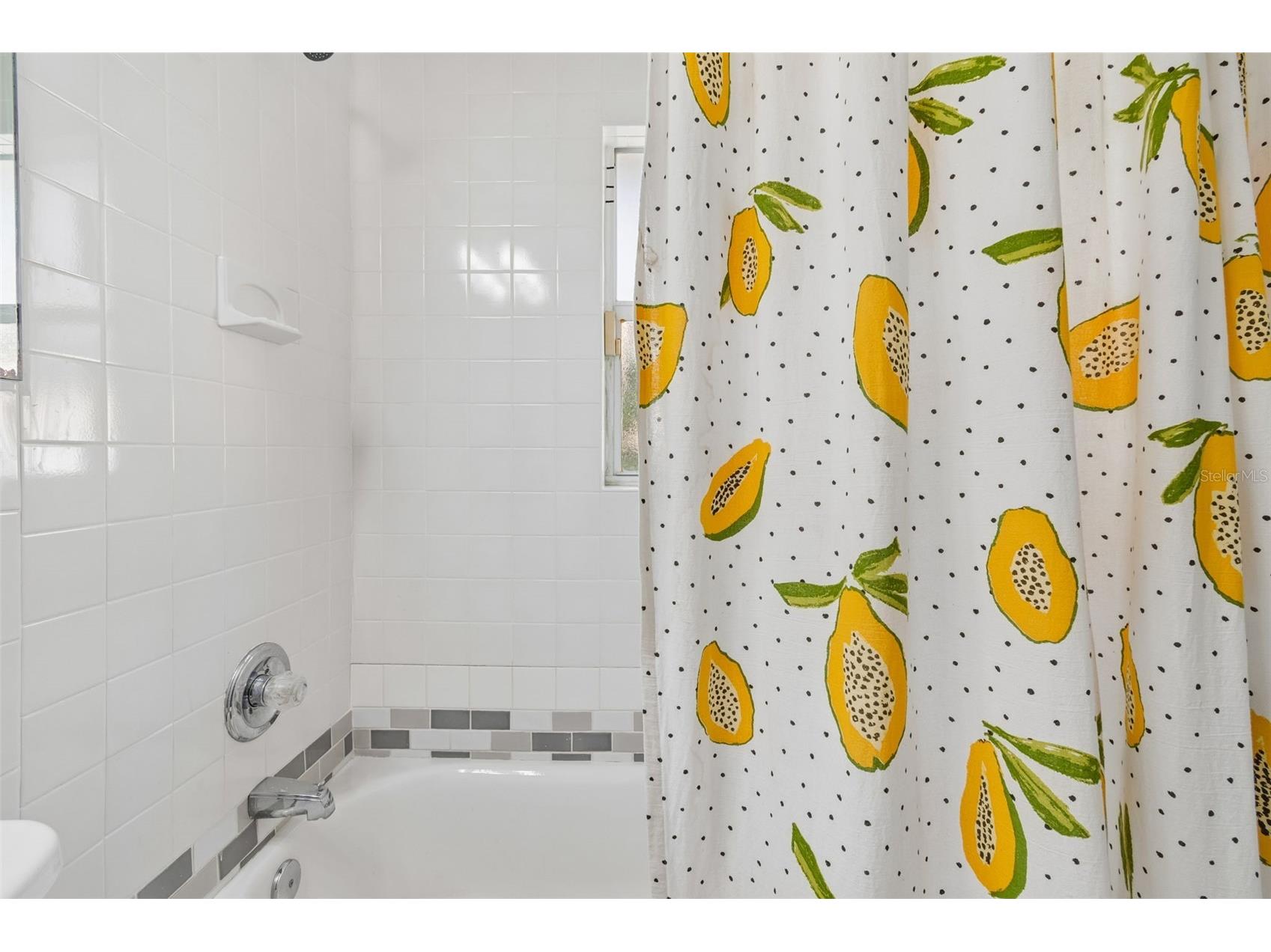 2301 W Eldred Drive Tampa FL 33603 TB8497558 image10