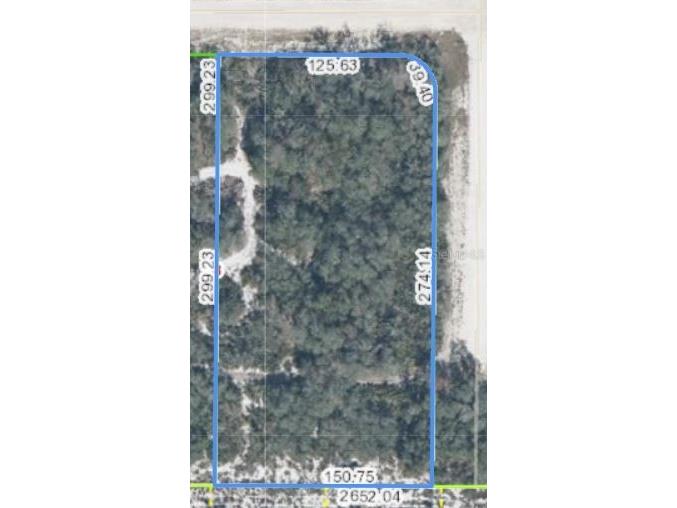 2301 W Little Road Avon Park FL 33825 T3502836 image1