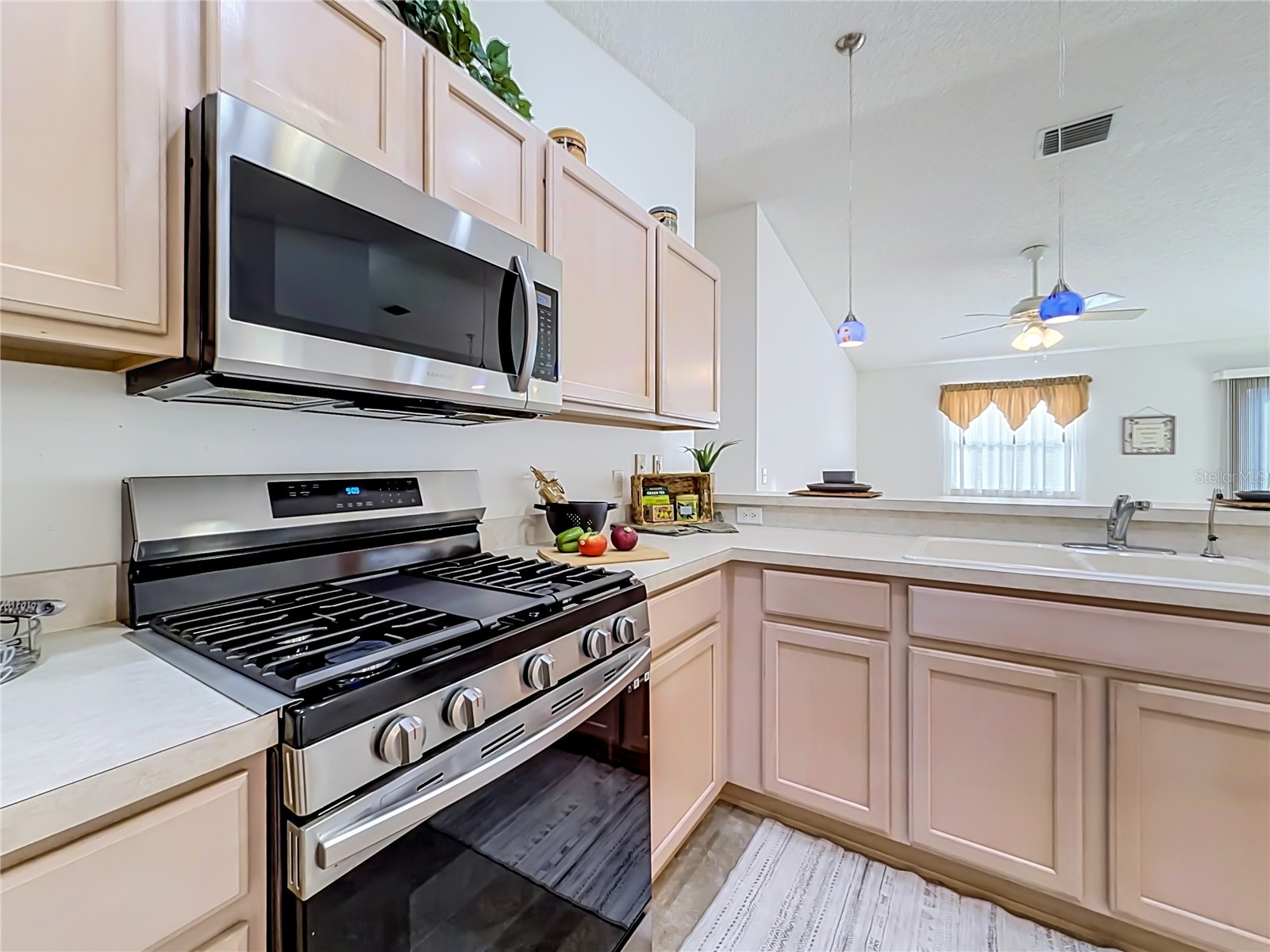 2301 Whisper Street The Villages FL 32162 G5114334 image19