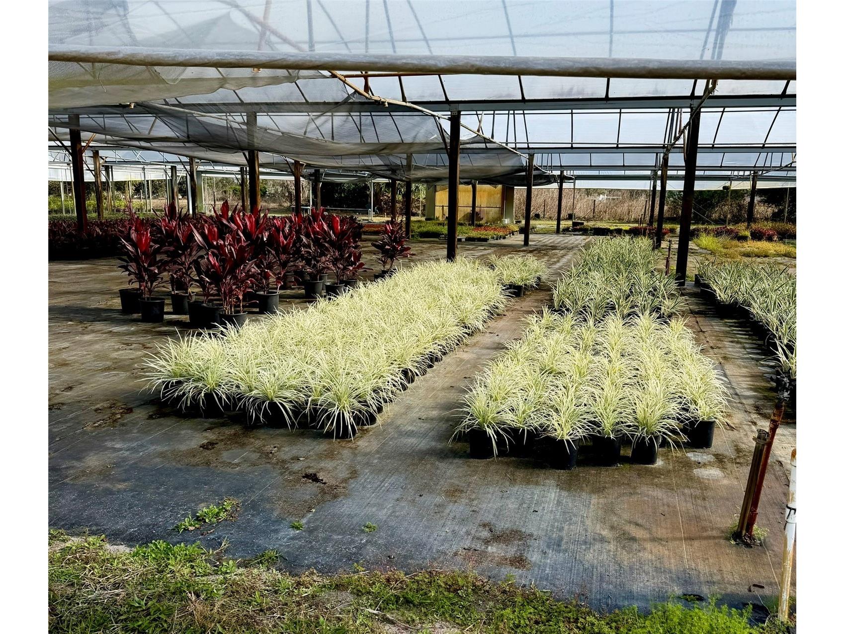 23010 Wolf Branch Road Sorrento FL 32776 G5106468 image10