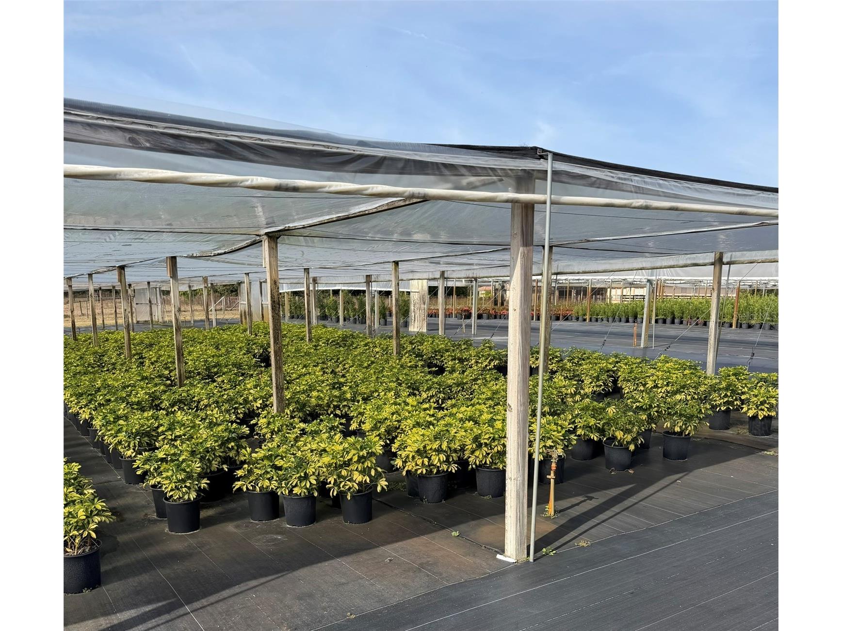 23010 Wolf Branch Road Sorrento FL 32776 G5106468 image11