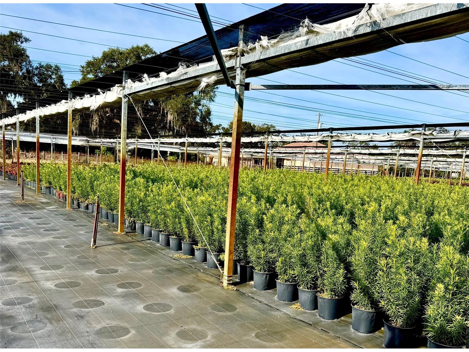 23010 Wolf Branch Road Sorrento FL 32776 G5106468 image12