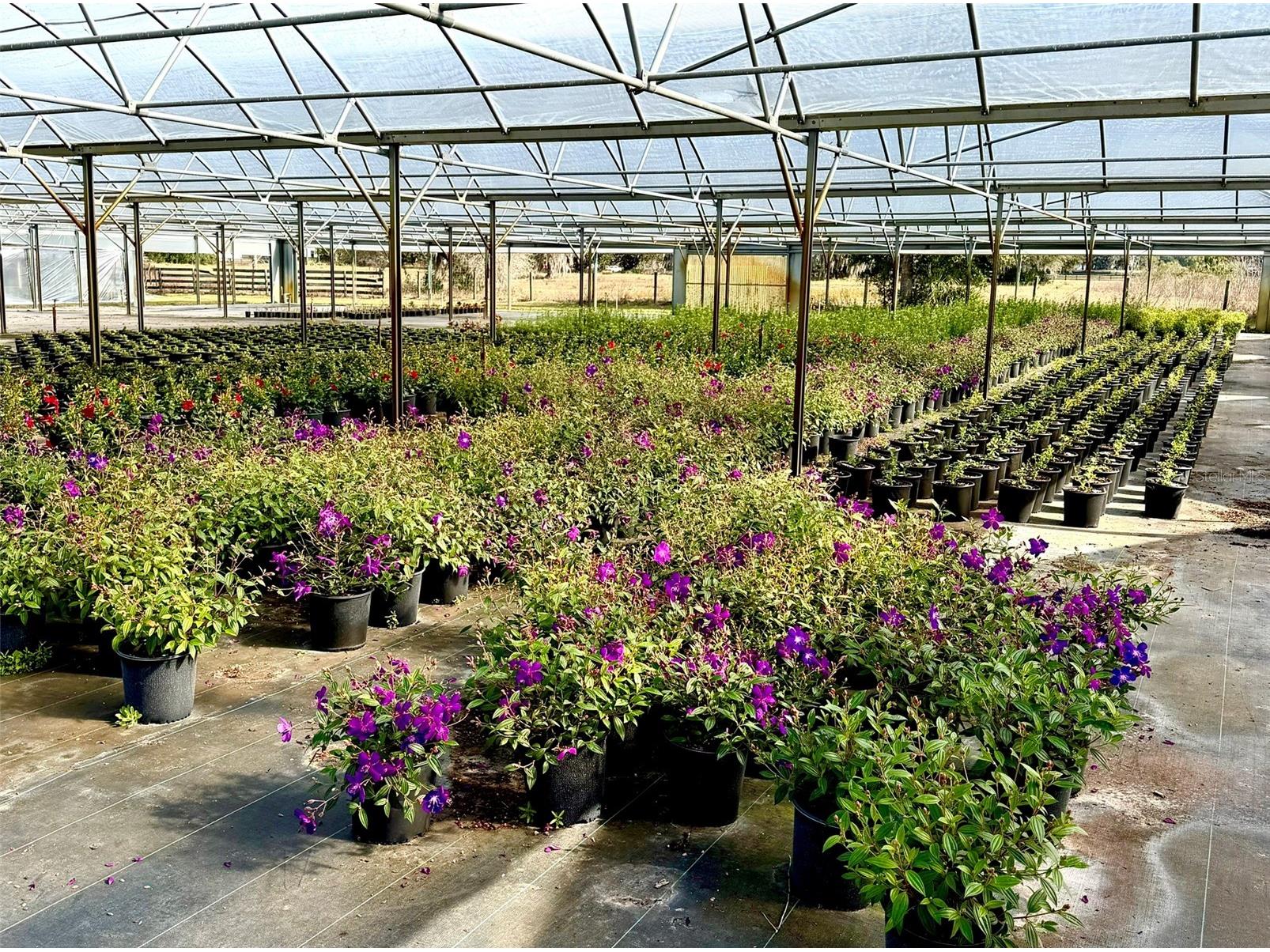 23010 Wolf Branch Road Sorrento FL 32776 G5106468 image13