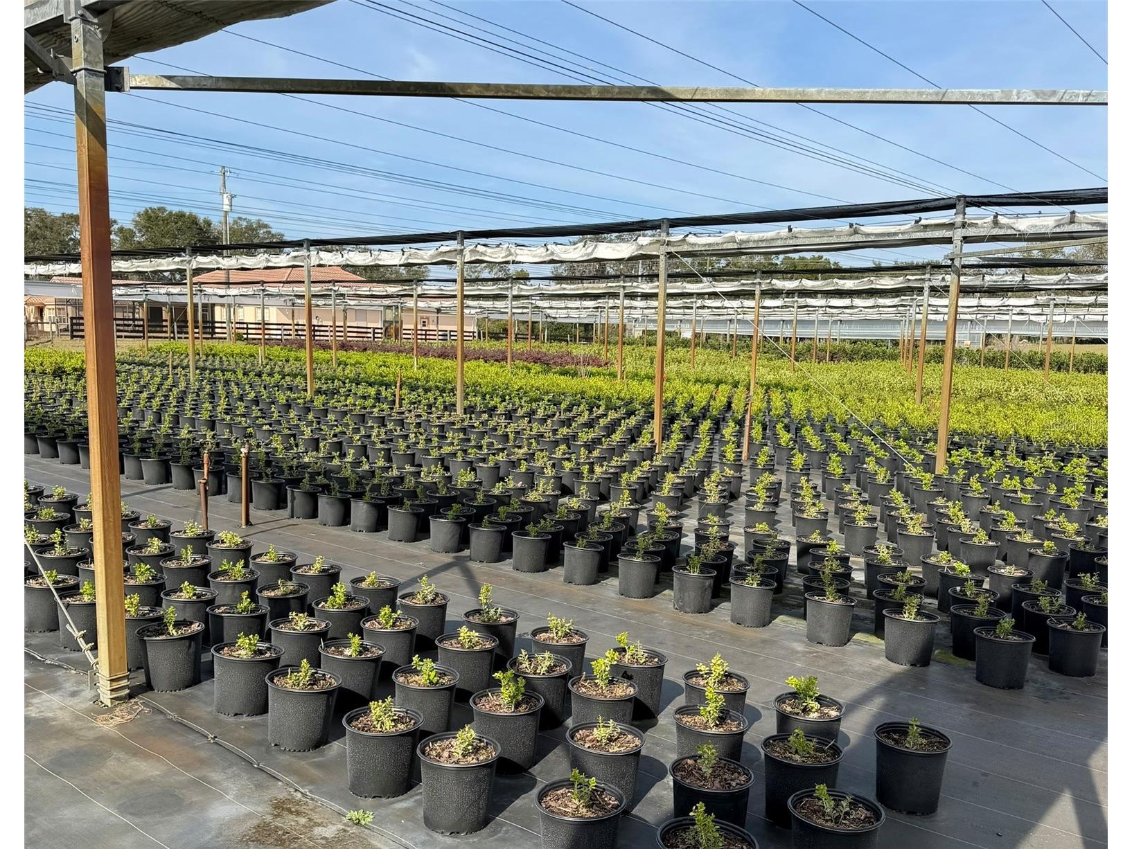 23010 Wolf Branch Road Sorrento FL 32776 G5106468 image14