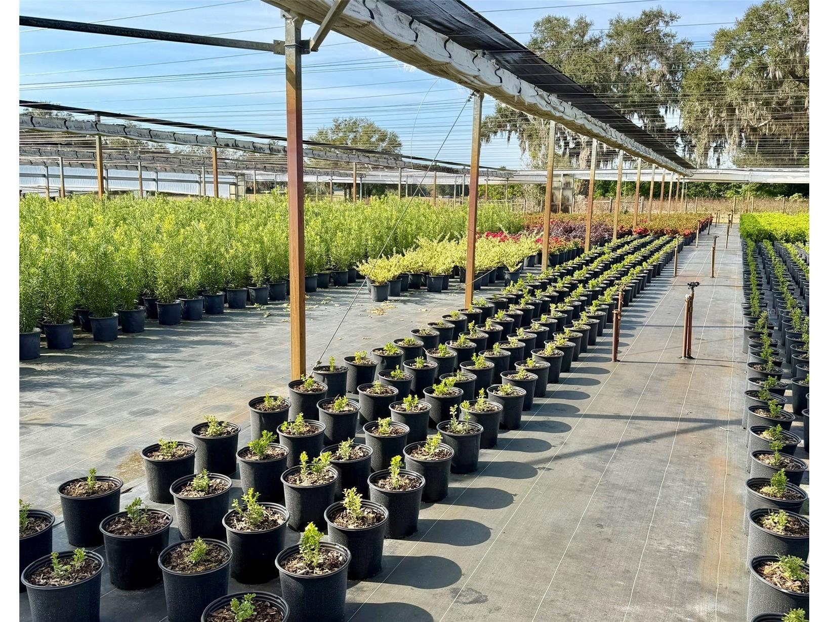 23010 Wolf Branch Road Sorrento FL 32776 G5106468 image15