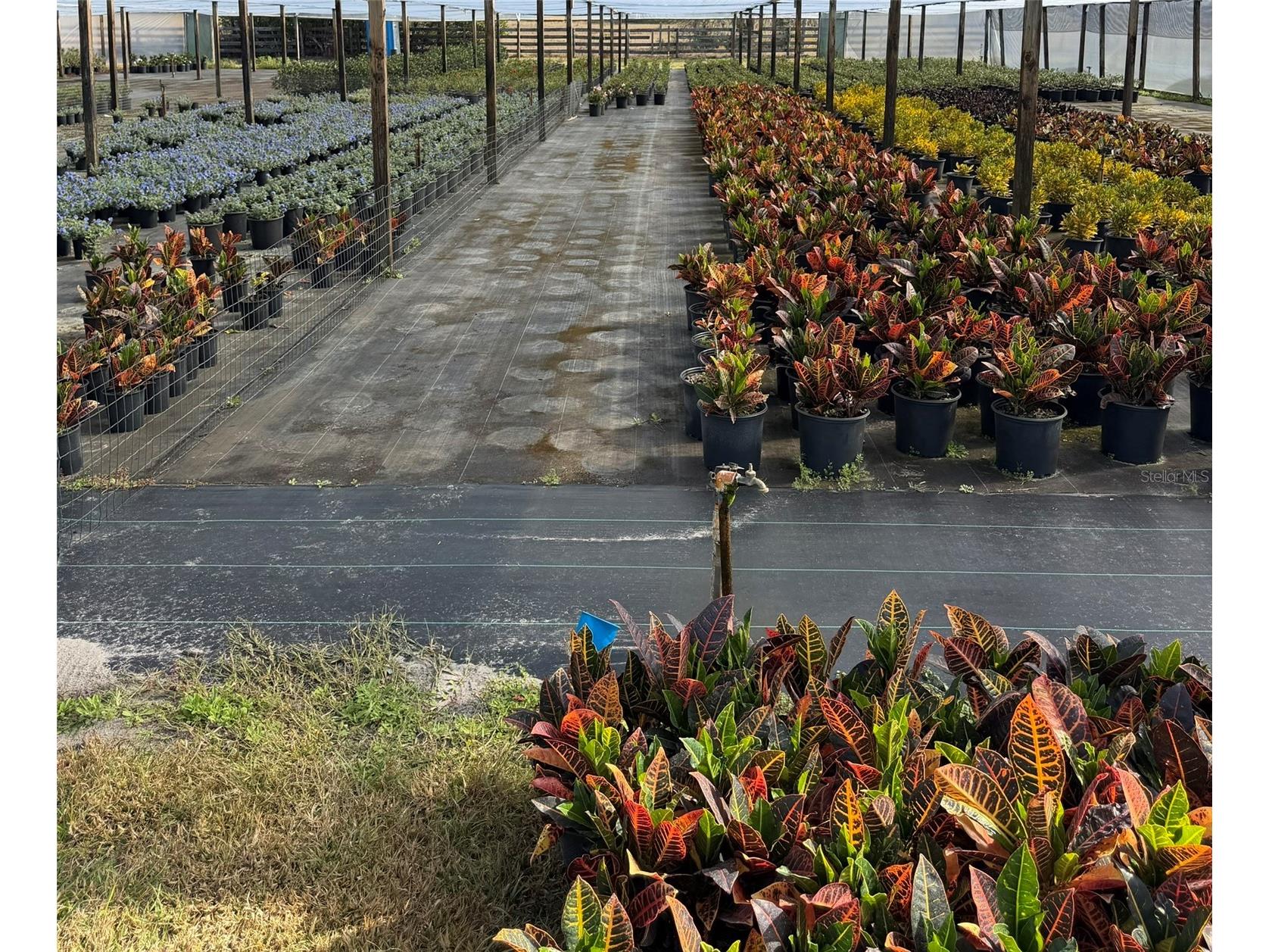 23010 Wolf Branch Road Sorrento FL 32776 G5106468 image16