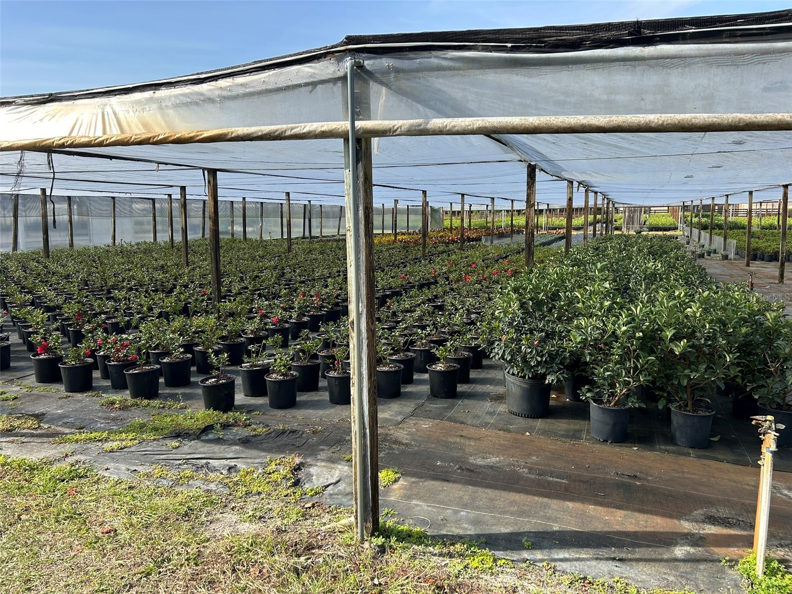 23010 Wolf Branch Road Sorrento FL 32776 G5106468 image17