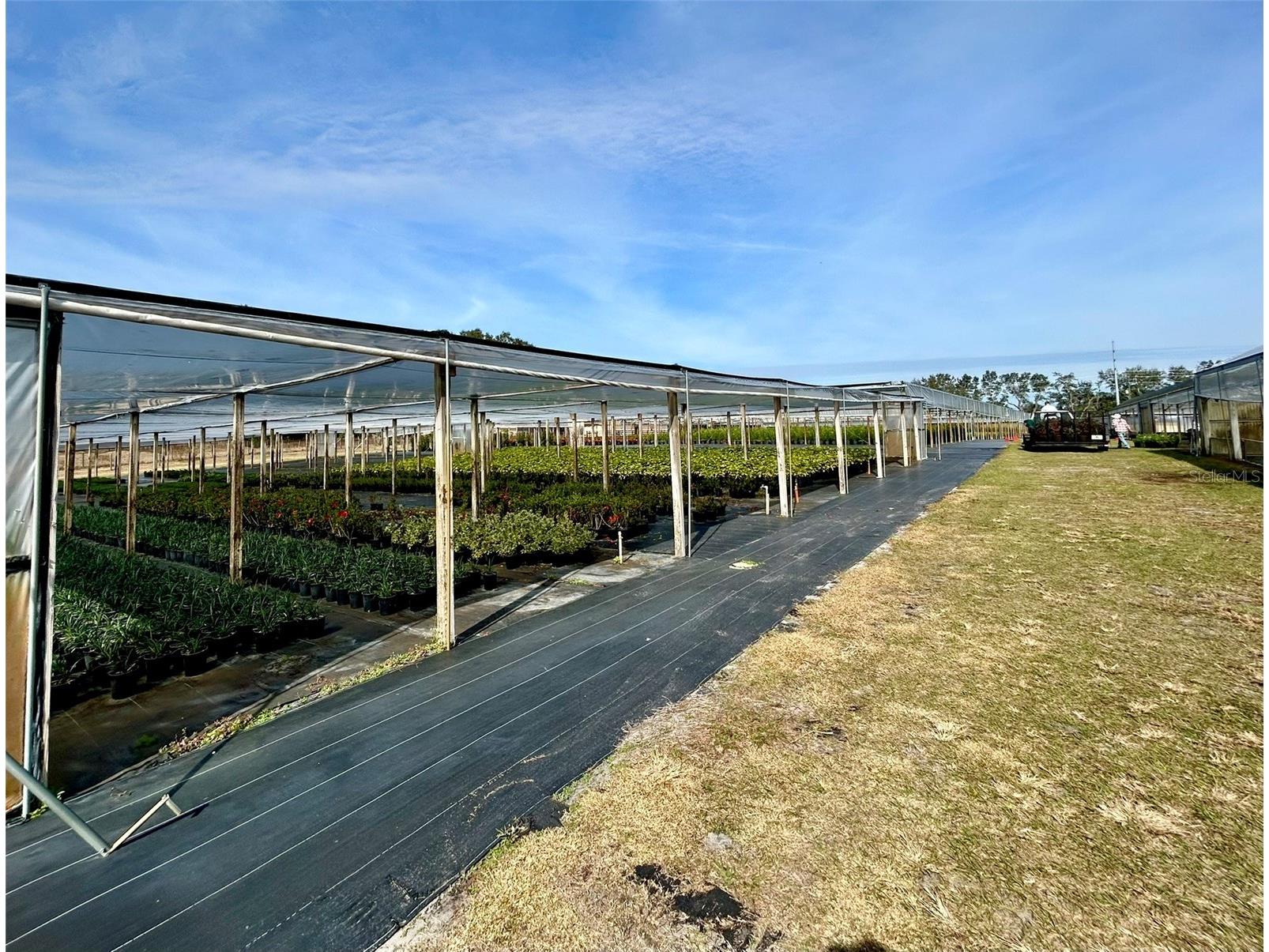 23010 Wolf Branch Road Sorrento FL 32776 G5106468 image18