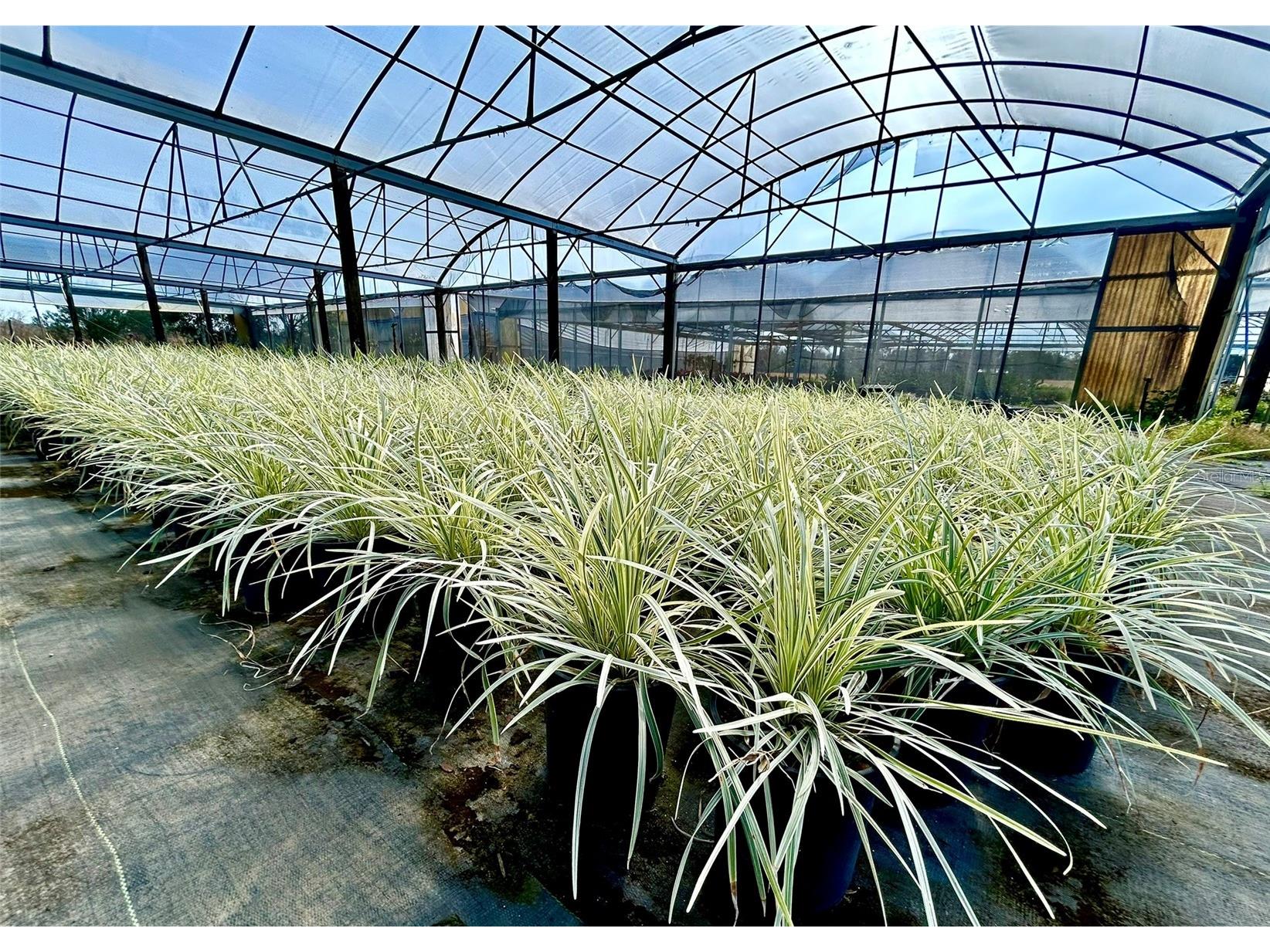 23010 Wolf Branch Road Sorrento FL 32776 G5106468 image19