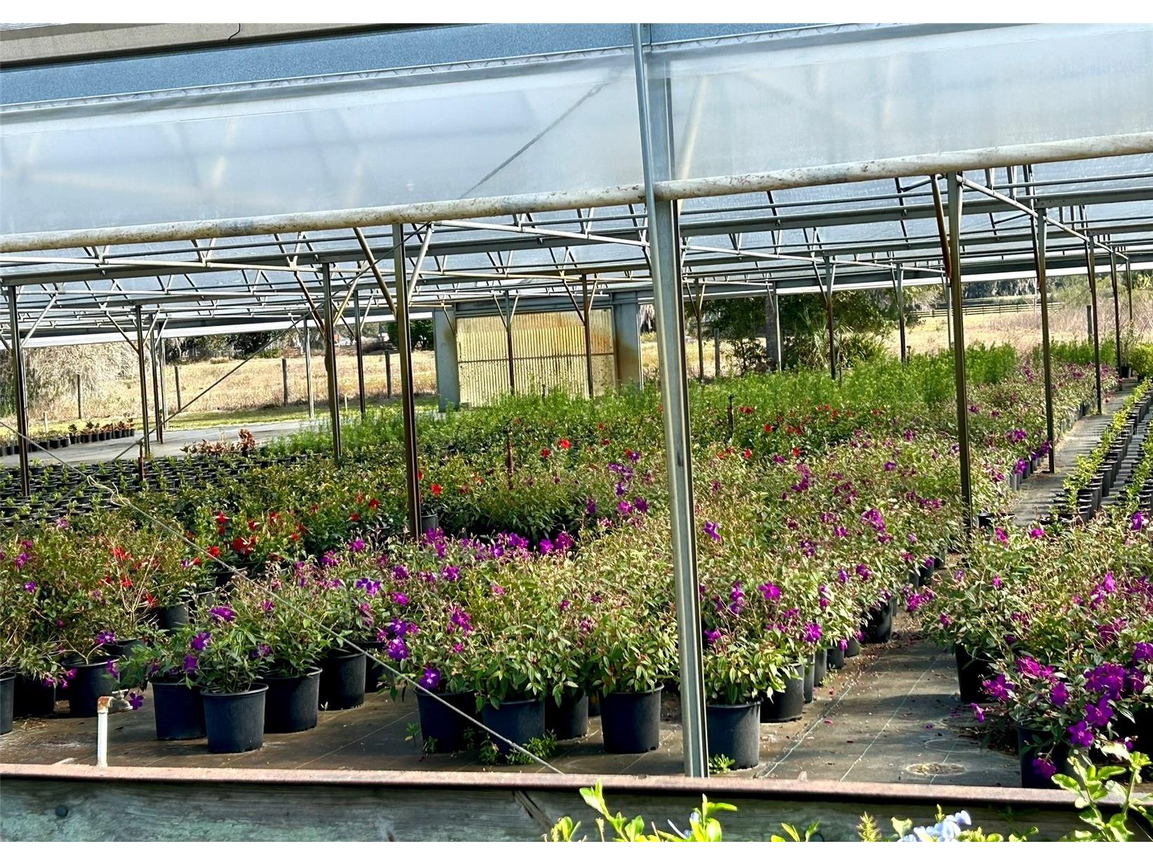 23010 Wolf Branch Road Sorrento FL 32776 G5106468 image20