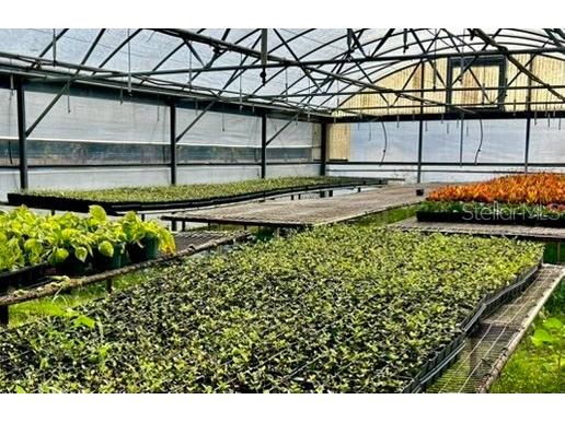 23010 Wolf Branch Road Sorrento FL 32776 G5106468 image21