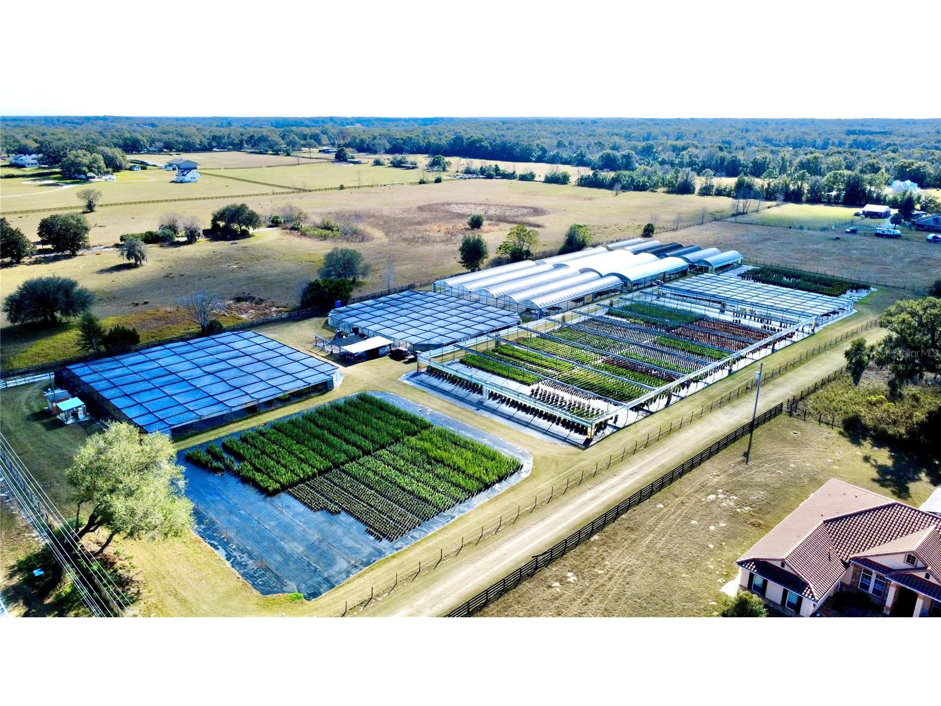 23010 Wolf Branch Road Sorrento FL 32776 G5106468 image5