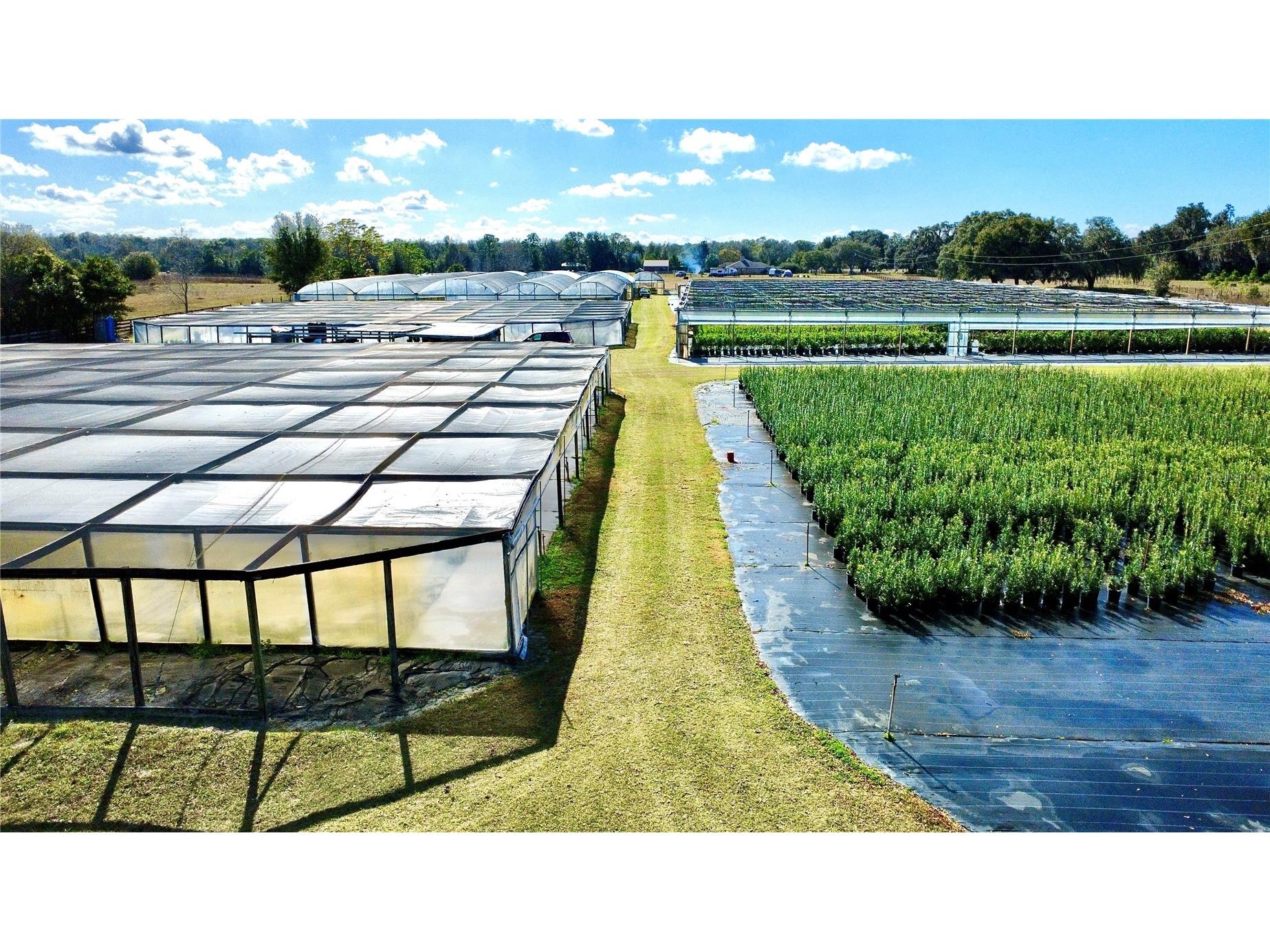 23010 Wolf Branch Road Sorrento FL 32776 G5106468 image8