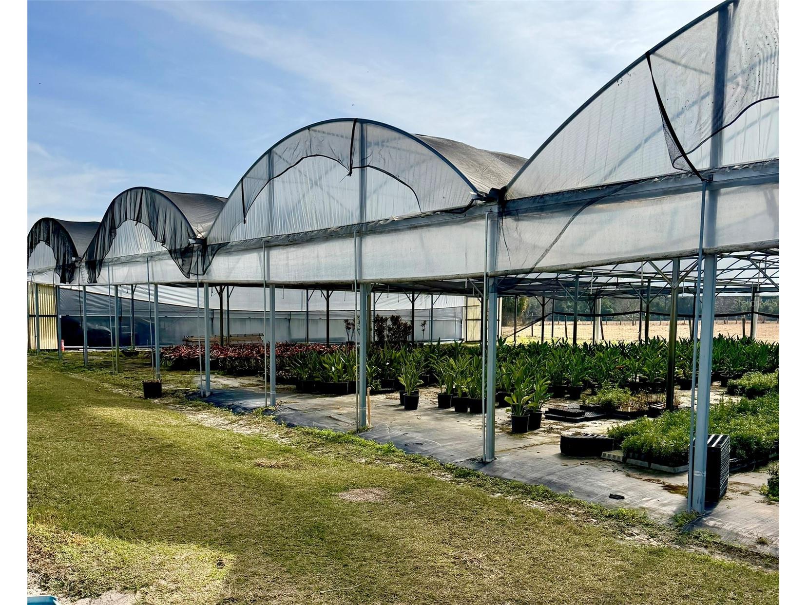 23010 Wolf Branch Road Sorrento FL 32776 G5106468 image9