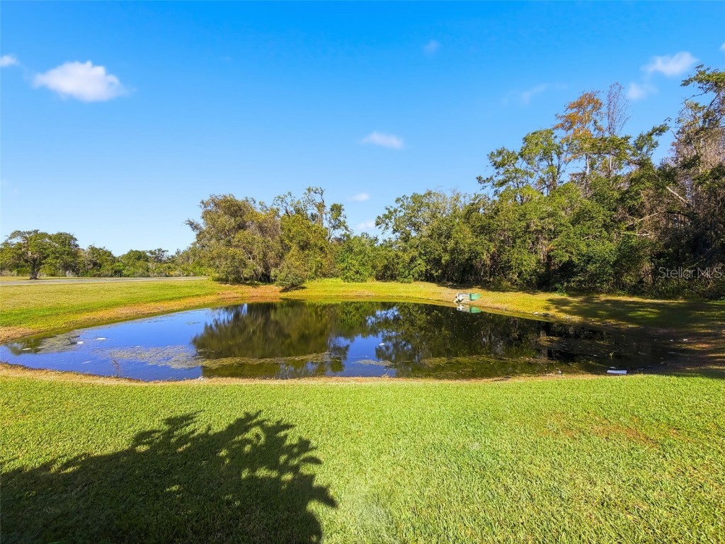 23015 Mayfair Road Land O Lakes FL 34639 W7881487 image32