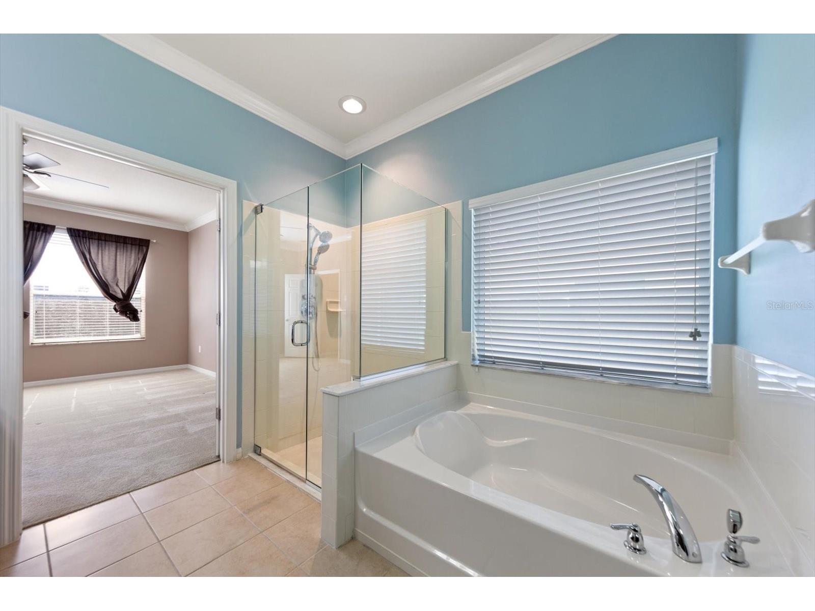 2302 Barracuda Court Holiday FL 34691 TB8470066 image21