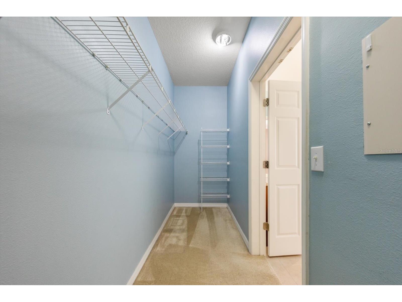 2302 Barracuda Court Holiday FL 34691 TB8470066 image22