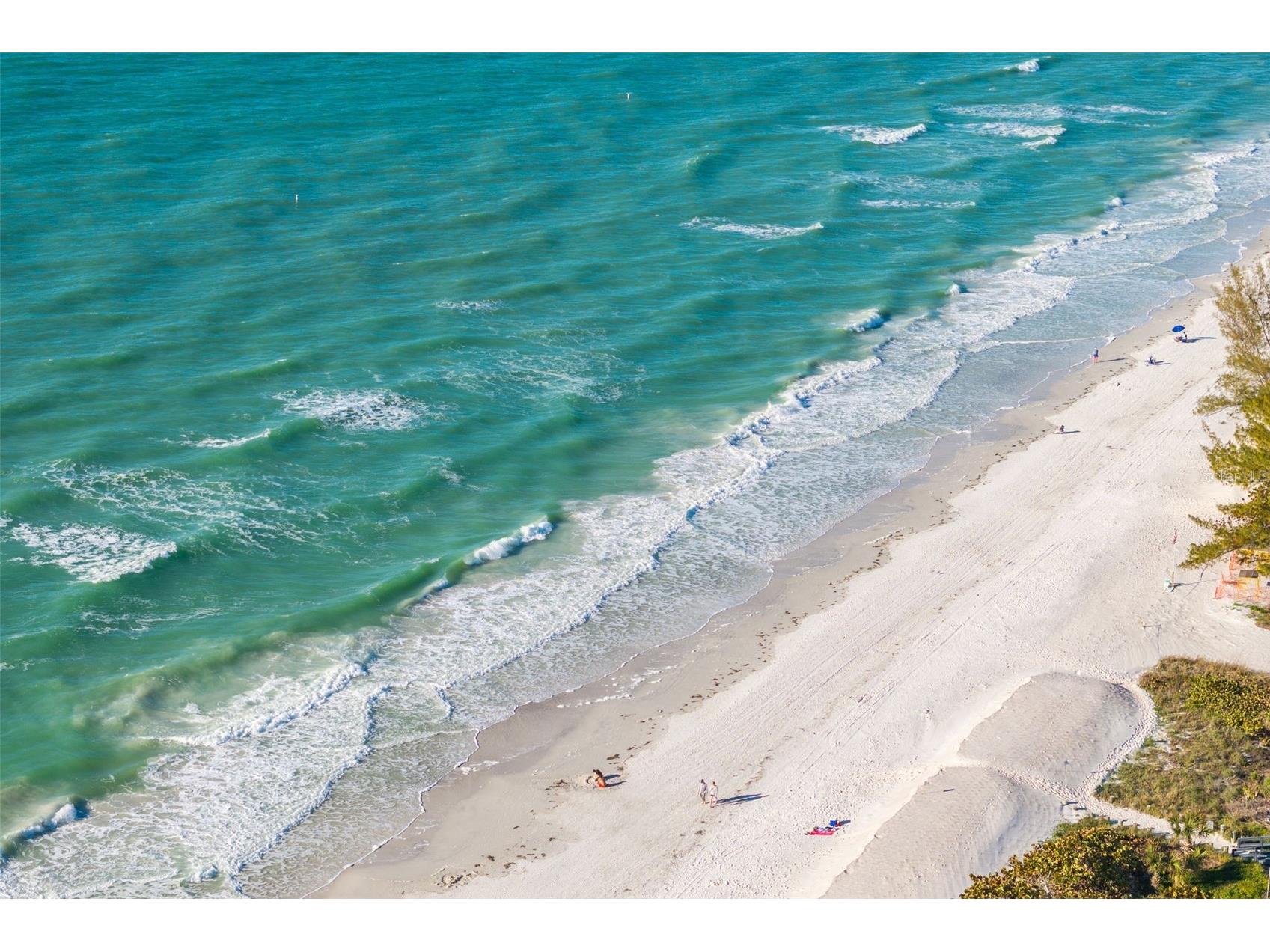 2302 Bay Boulevard Indian Rocks Beach FL 33785 TB8480813 image58