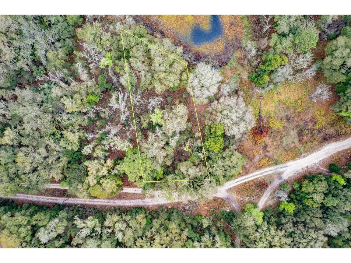 2302 Eisenhower Street Inverness FL 34453 TB8355416 image1