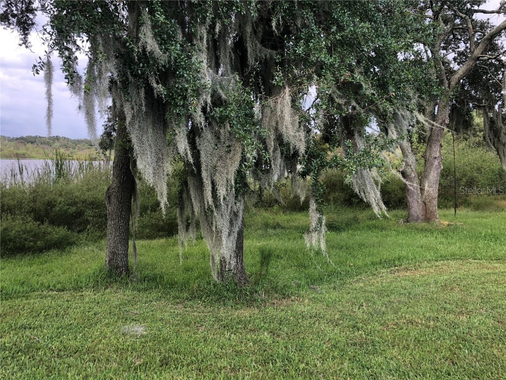 2302 Lake Woodberry Circle Brandon FL 33510 TB8455957 image13