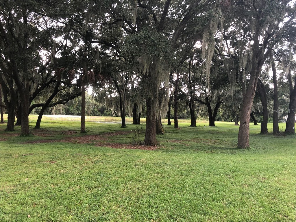 2302 Lake Woodberry Circle Brandon FL 33510 TB8455957 image17