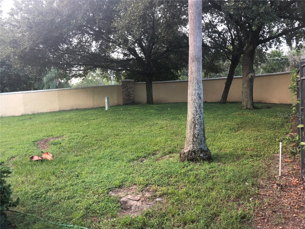 2302 Lake Woodberry Circle Brandon FL 33510 TB8455957 image4