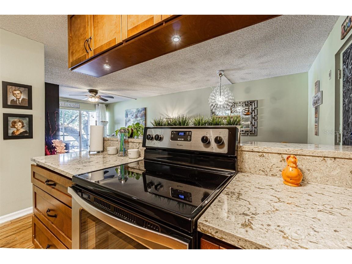 2302 S Manhattan Avenue #219 Tampa FL 33629 TB8447886 image15