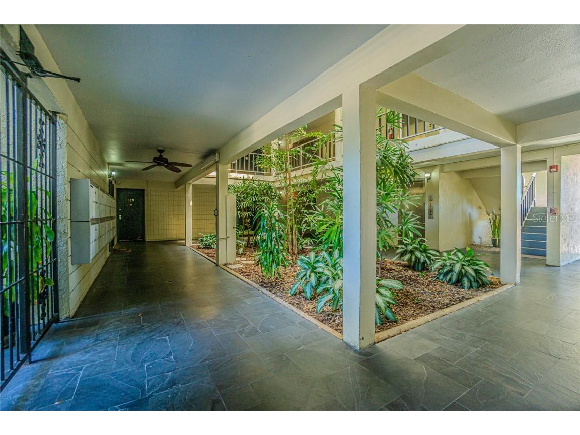 2302 S Manhattan Avenue #219 Tampa FL 33629 TB8447886 image25