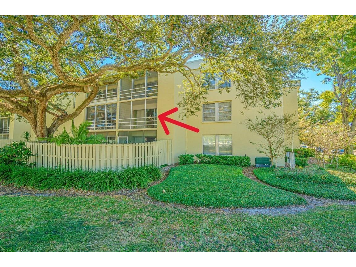 2302 S Manhattan Avenue #219 Tampa FL 33629 TB8447886 image30