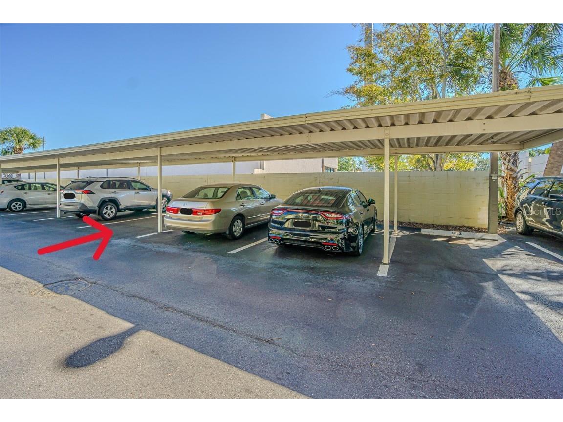 2302 S Manhattan Avenue #219 Tampa FL 33629 TB8447886 image31