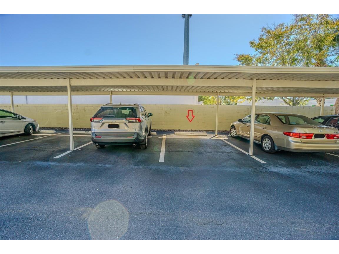 2302 S Manhattan Avenue #219 Tampa FL 33629 TB8447886 image33