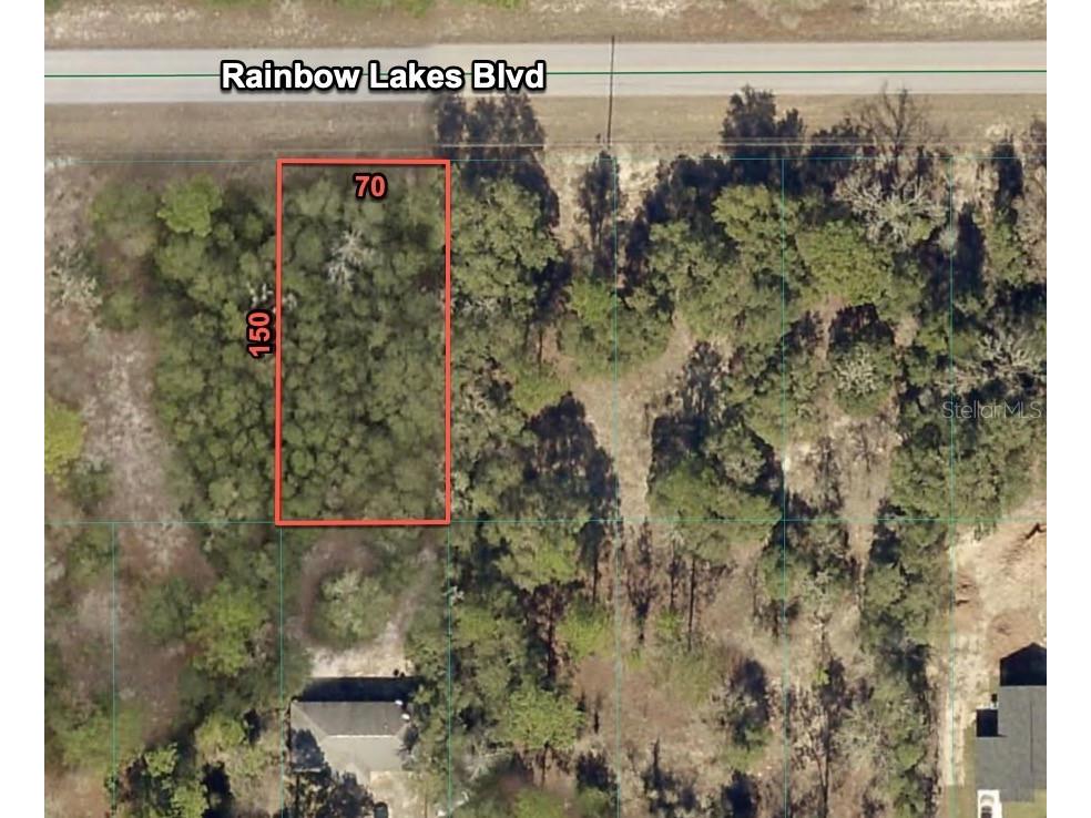 23020 SW Rainbow Lakes Boulevard Dunnellon FL 34431 O6383947 image1