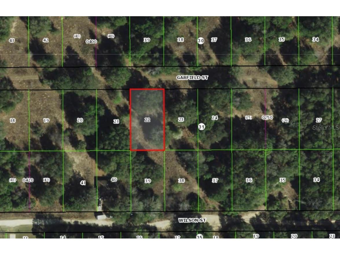 2303 Garfield Street Inverness FL 34453 OM709288 image1