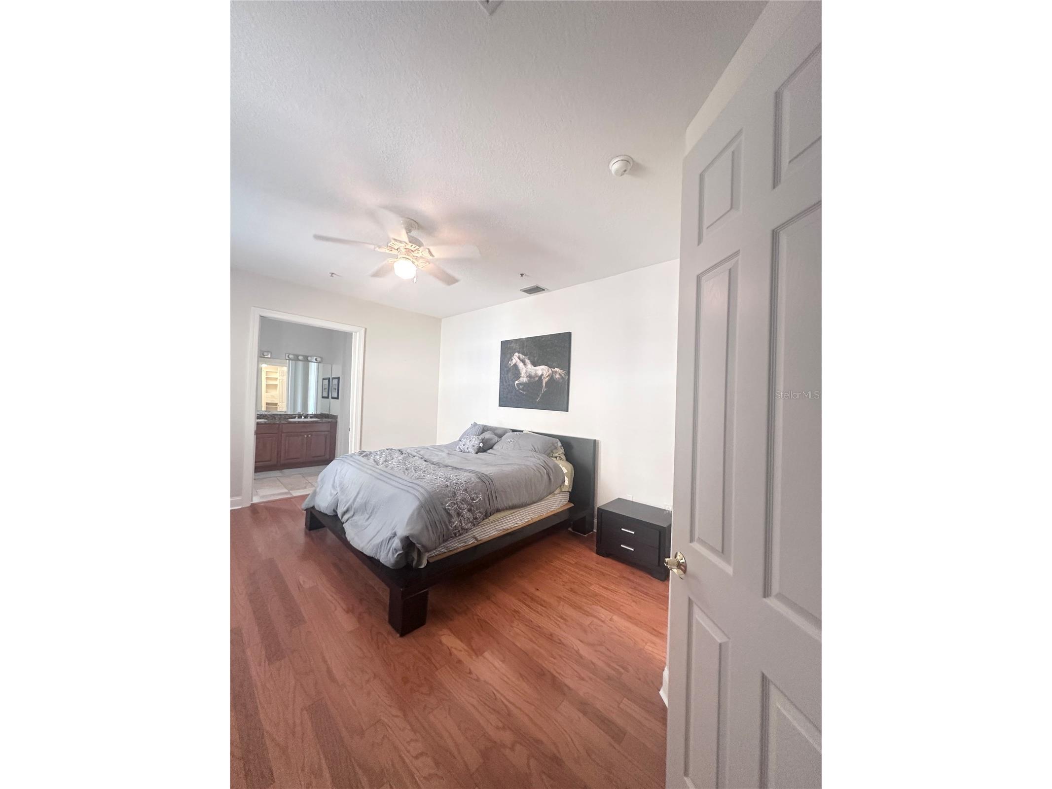 2303 Kensington Garden Lane Tampa FL 33609 TB8524682 image20