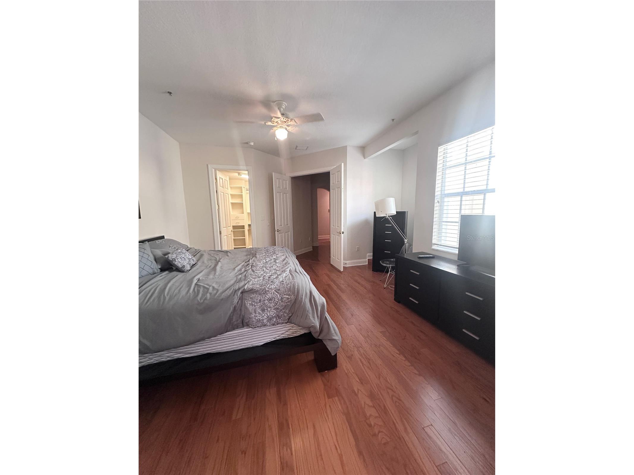 2303 Kensington Garden Lane Tampa FL 33609 TB8524682 image21