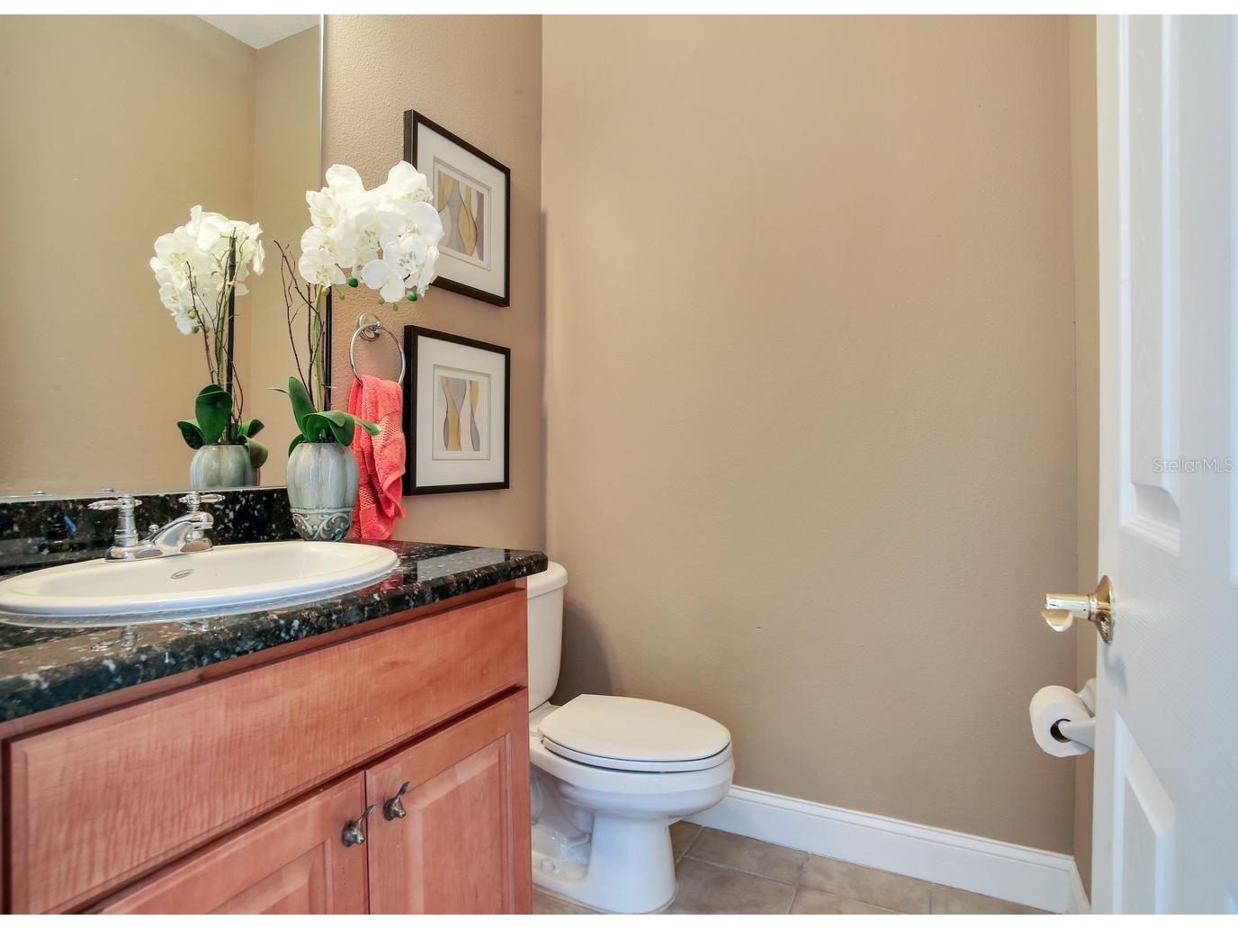 2303 Kensington Garden Lane Tampa FL 33609 TB8524682 image27