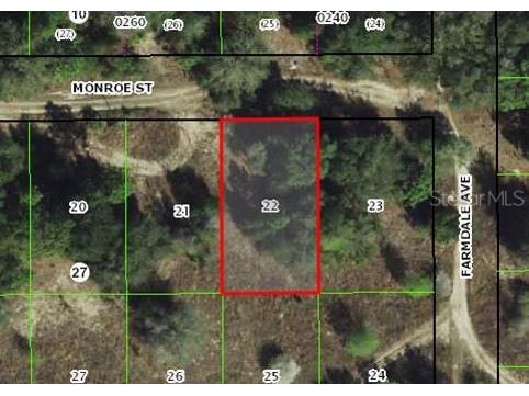 2303 Monroe Street Inverness FL 34453 OM691879 image1