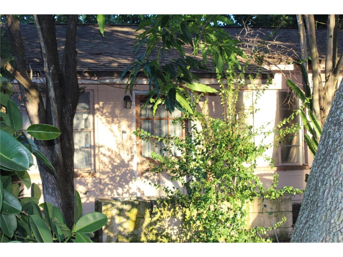 2303 N Harold Avenue Tampa FL 33607 U8219876 image1