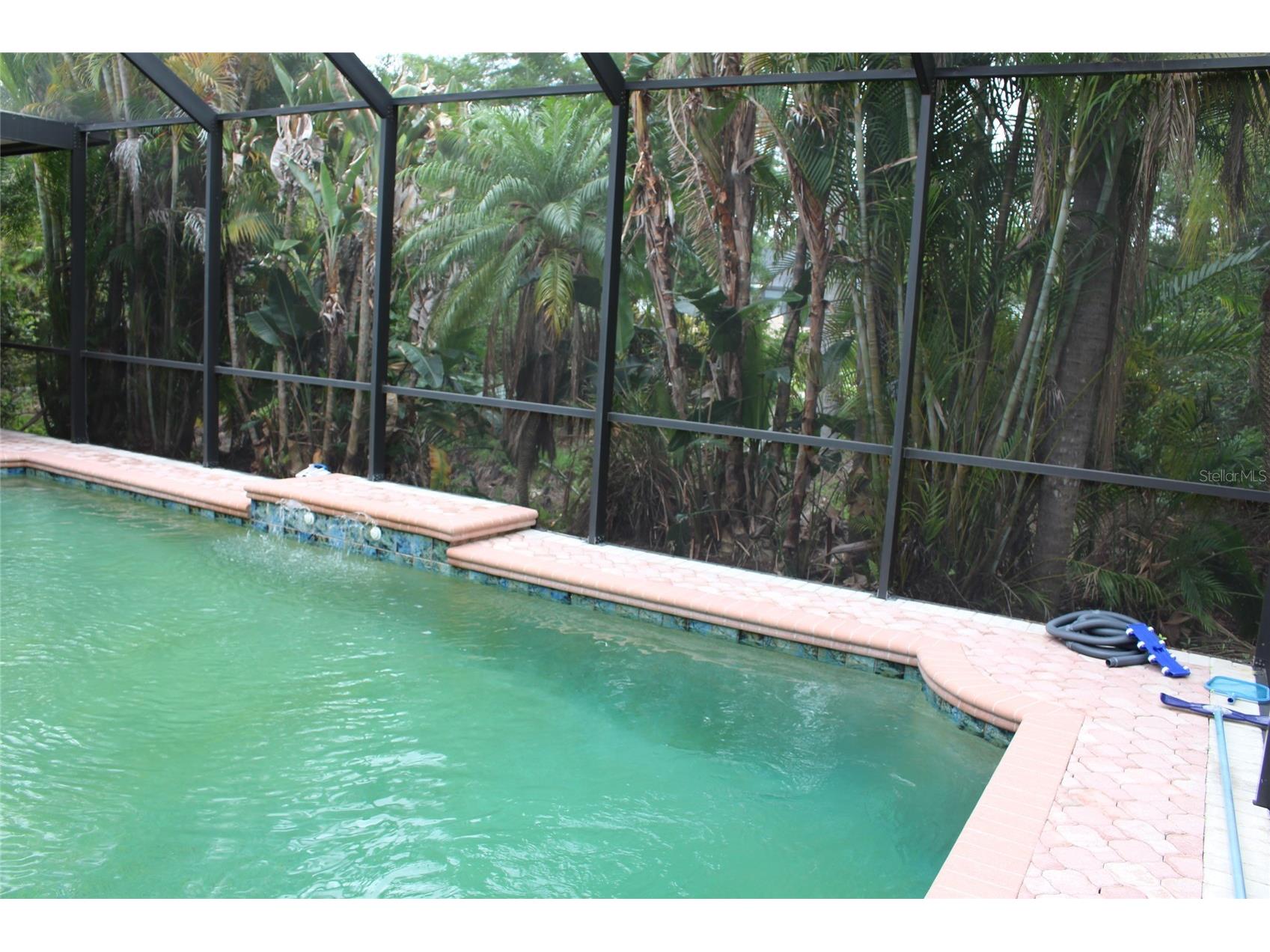 2303 Oxford Court Safety Harbor FL 34695 TB8477705 image76
