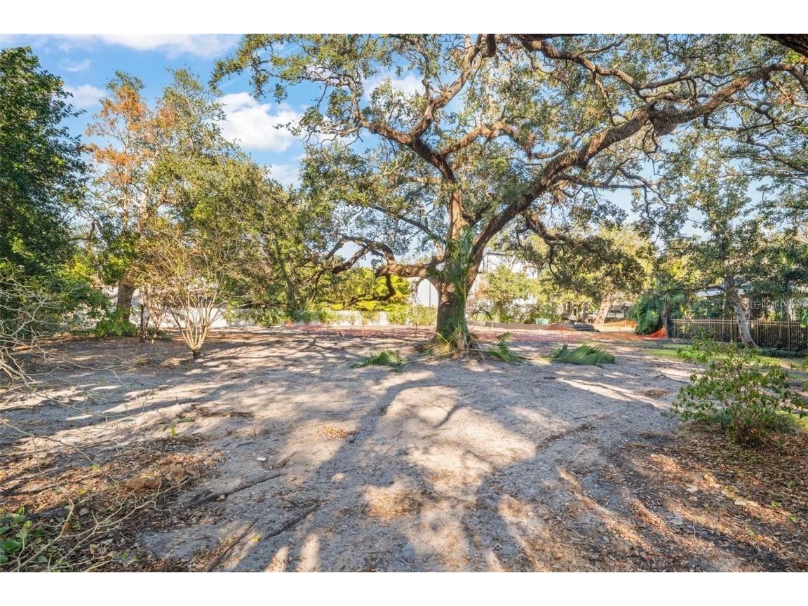 2303 S Hesperides Street Tampa FL 33629 W7871457 image3